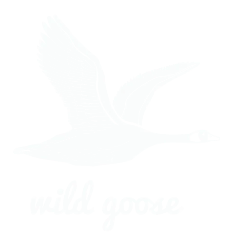 Wild Goose