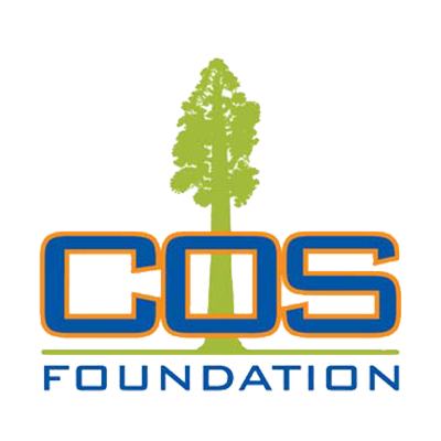 Cos Foundation